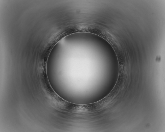 X0000090780702200707201524