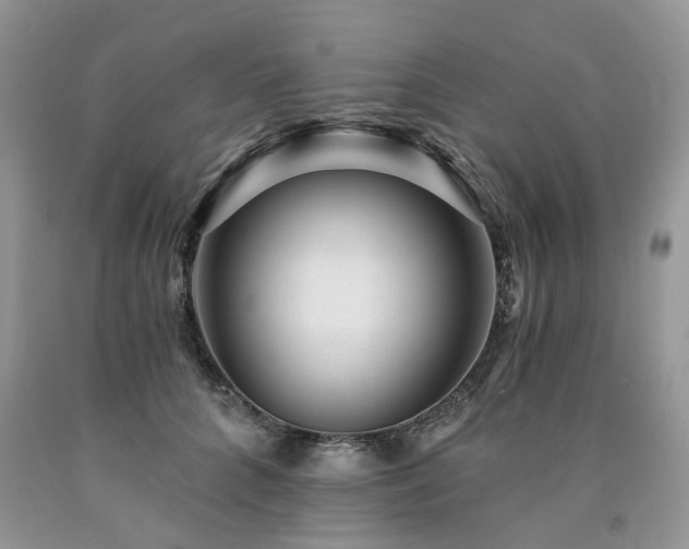X0000090780704200707201524