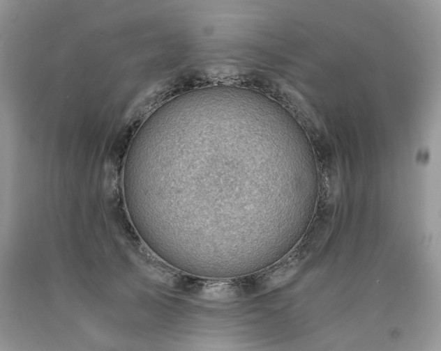 X0000090780705200707201523