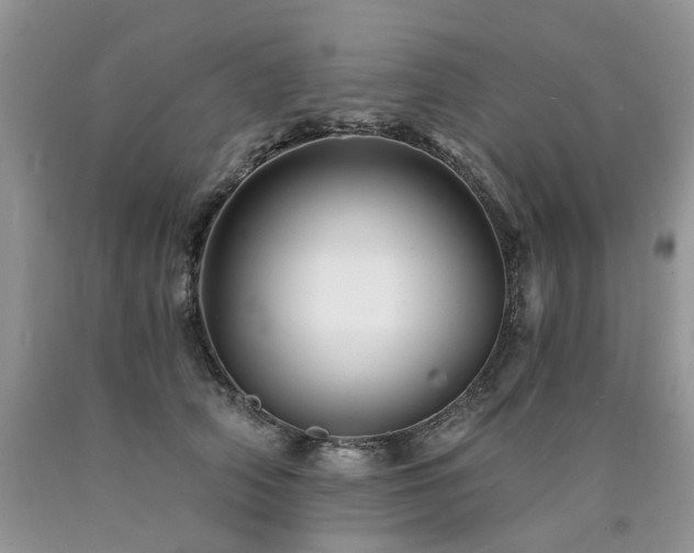 X0000090780706200707201523