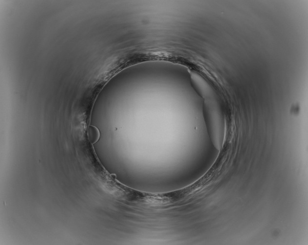 X0000090780707200707201523