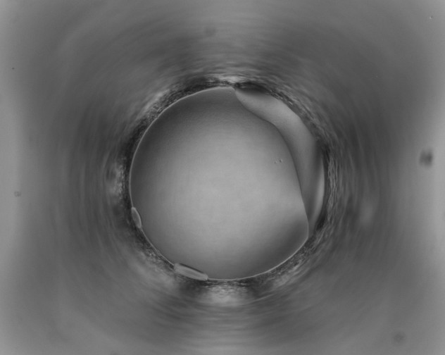 X0000090780708200707201523