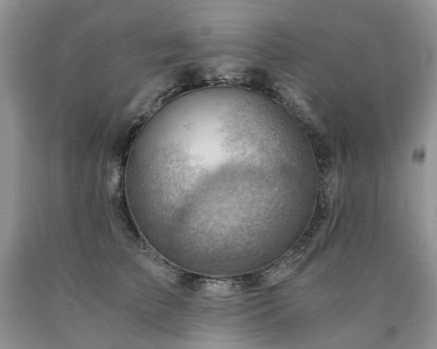 X0000090780709200707201523