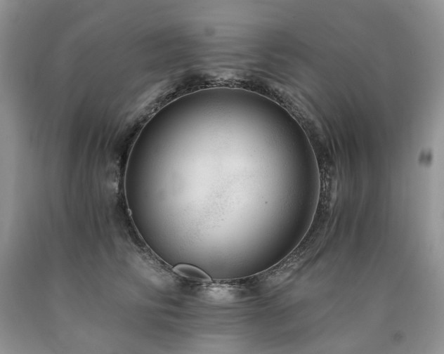 X0000090780710200707201523