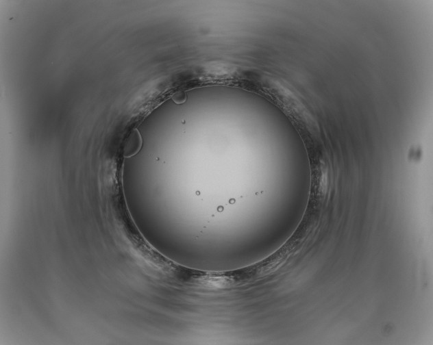 X0000090780711200707201523