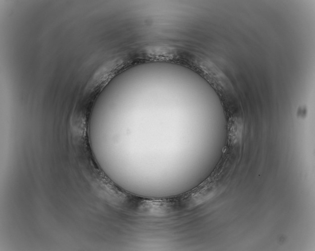 X0000090780713200707201523