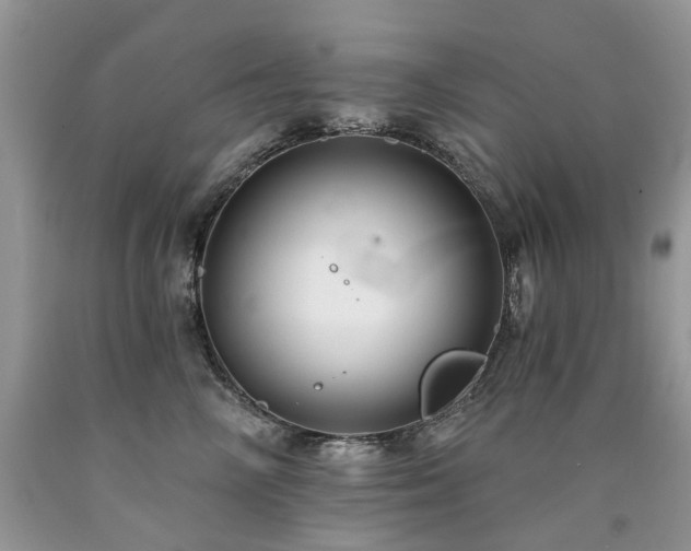 X0000090780714200707201523