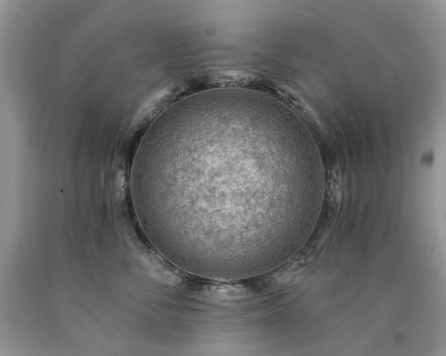 X0000090780716200707201523