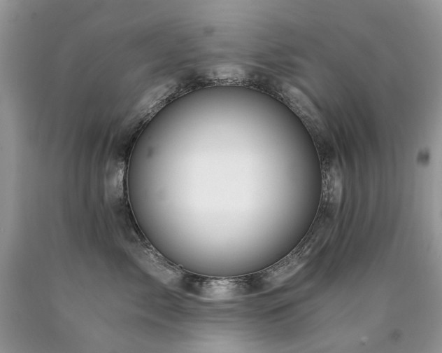 X0000090780717200707201523