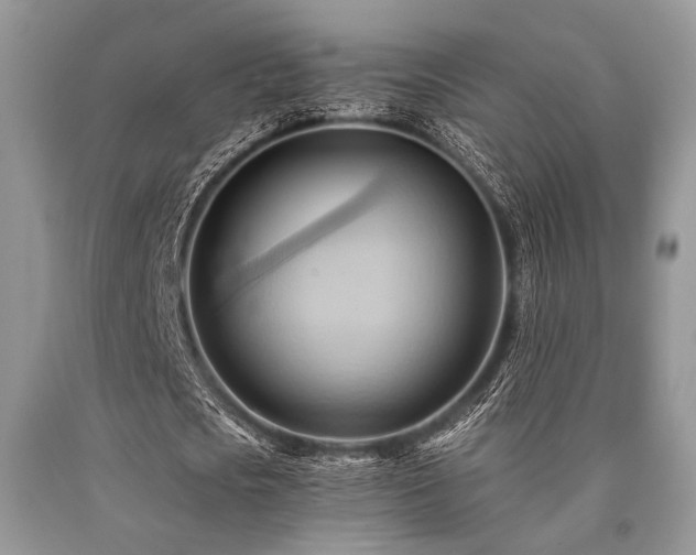 X0000090780721200707201523