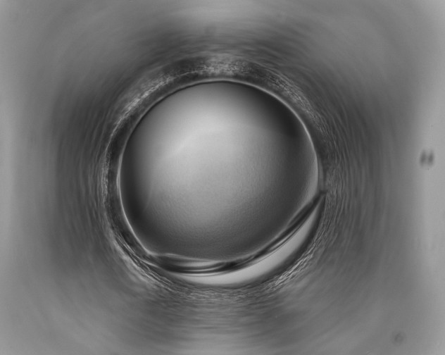 X0000090780722200707201523