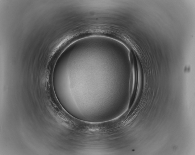 X0000090780723200707201523