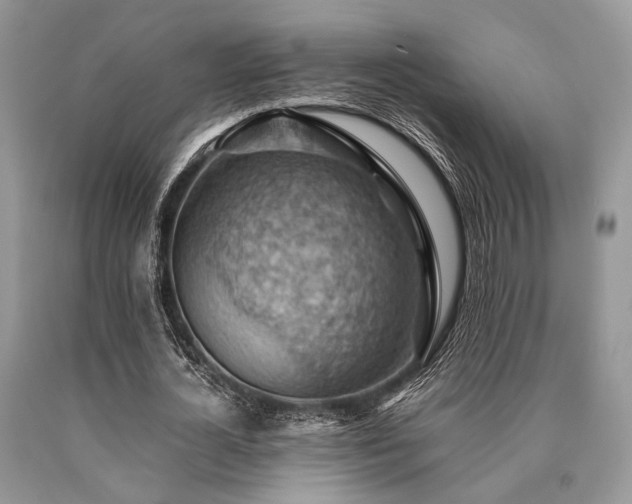 X0000090780724200707201523