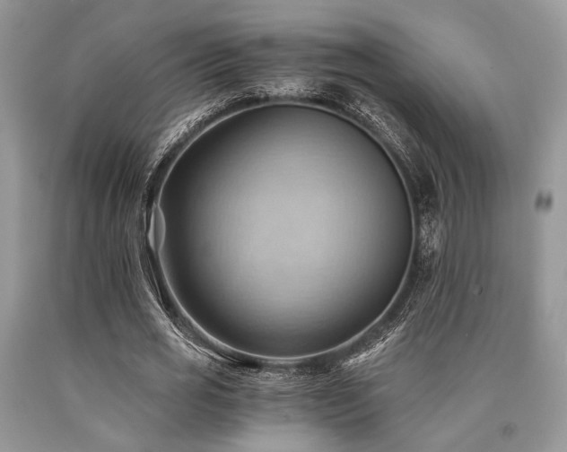 X0000090780725200707201523