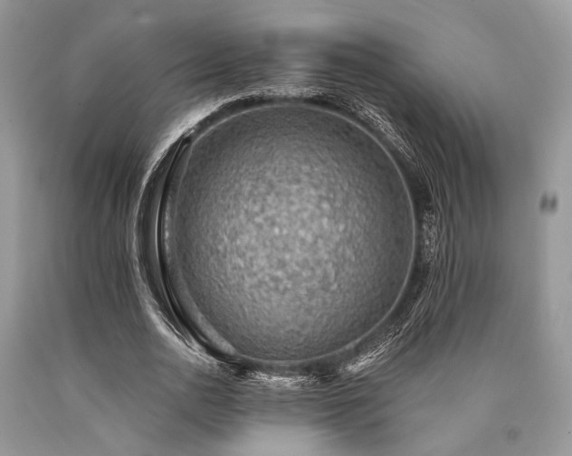 X0000090780726200707201523