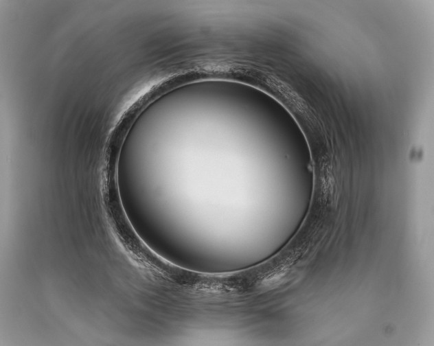 X0000090780728200707201523