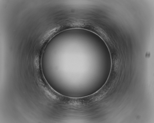 X0000090780729200707201523