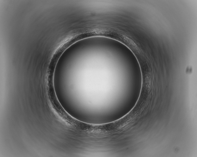 X0000090780730200707201523