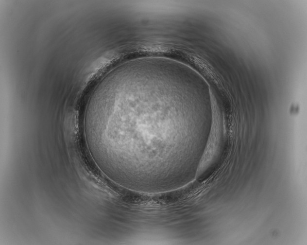 X0000090780731200707201523