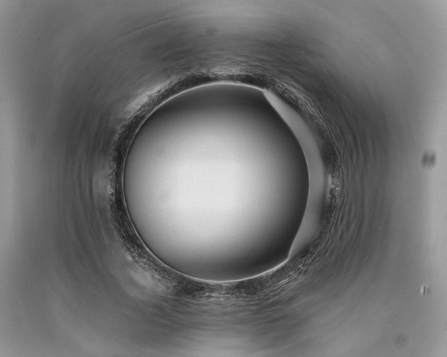 X0000090780732200707201523
