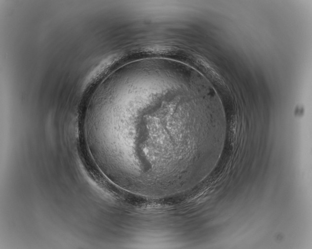 X0000090780734200707201523