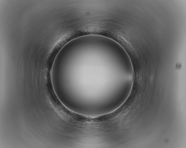 X0000090780735200707201523