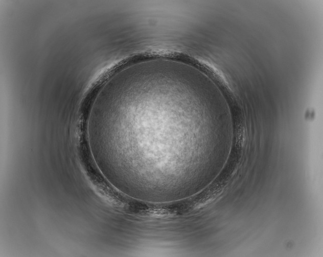 X0000090780736200707201523
