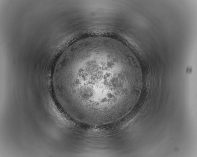 X0000090780737200707201523