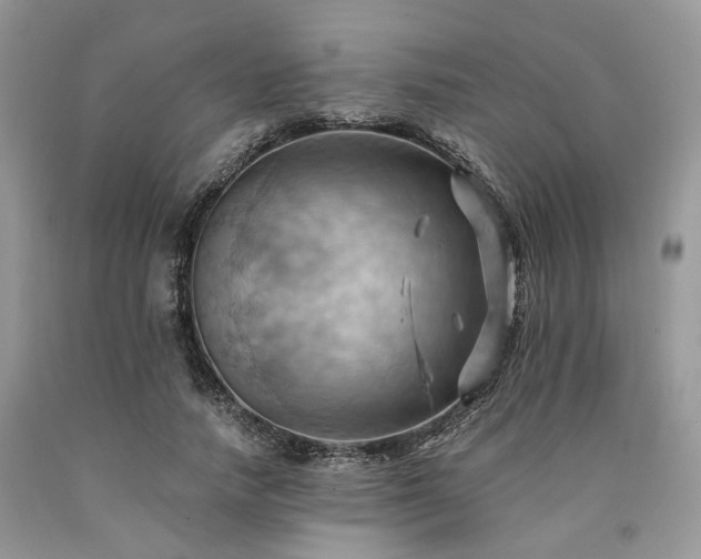 X0000090780738200707201523