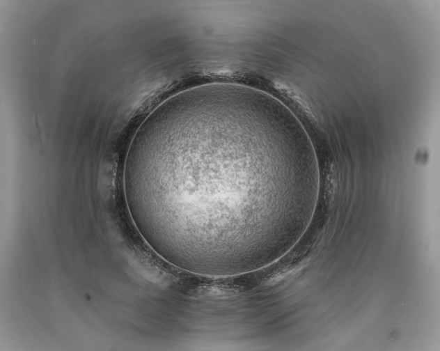 X0000090780739200707201523