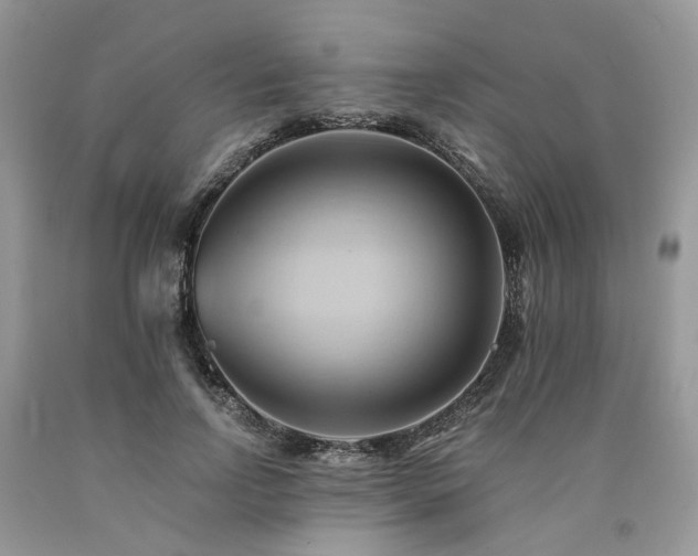 X0000090780742200707201523