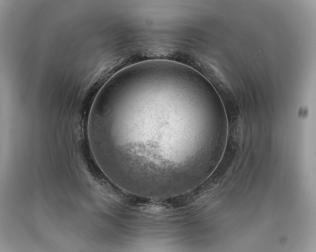 X0000090780743200707201523