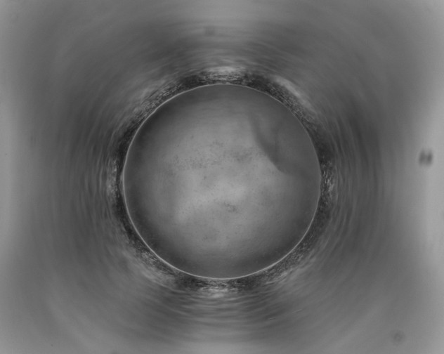 X0000090780745200707201523