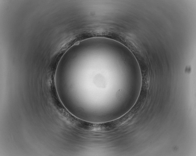 X0000090780746200707201523