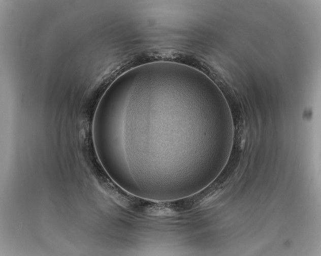 X0000090780747200707201523