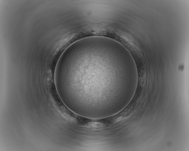 X0000090780748200707201523