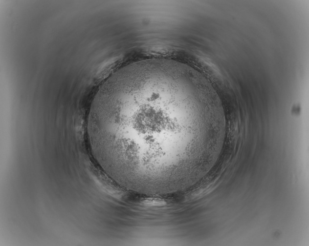 X0000090780749200707201523