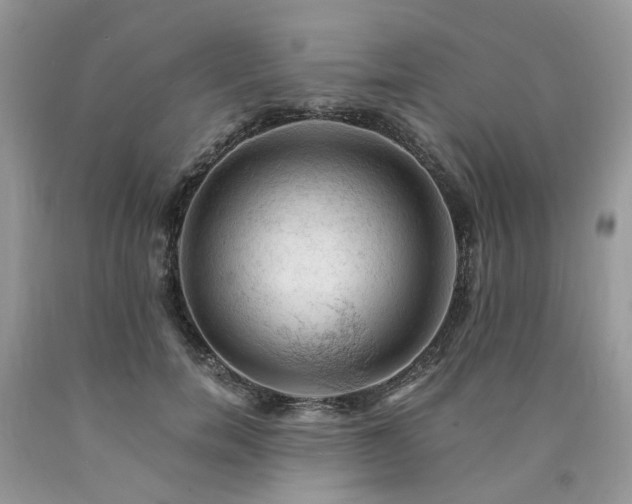 X0000090780750200707201523