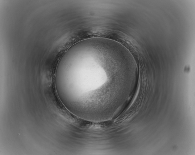 X0000090780751200707201523