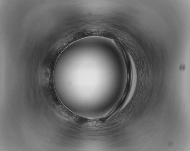 X0000090780752200707201523