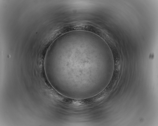 X0000090780753200707201523