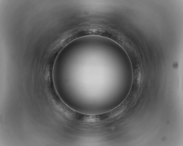 X0000090780754200707201523