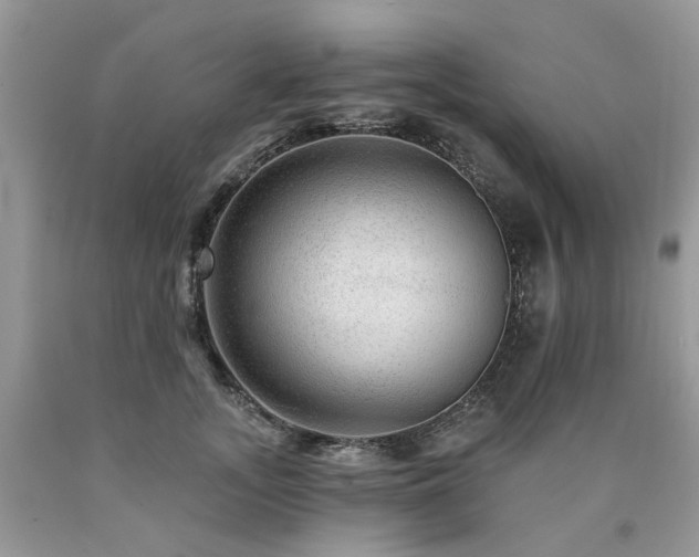 X0000090780755200707201523