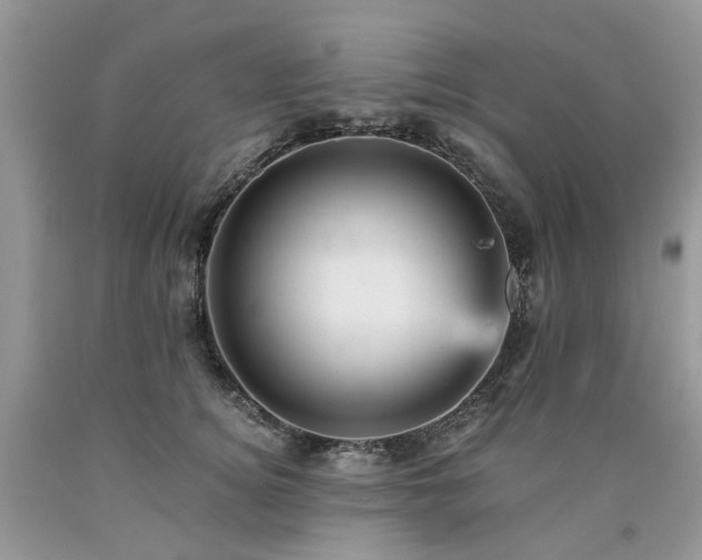 X0000090780756200707201523