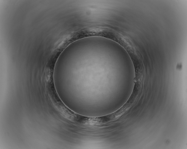 X0000090780758200707201523