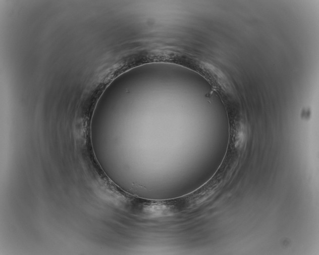 X0000090780759200707201523