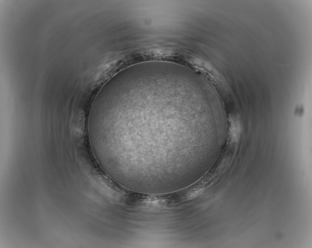X0000090780760200707201523