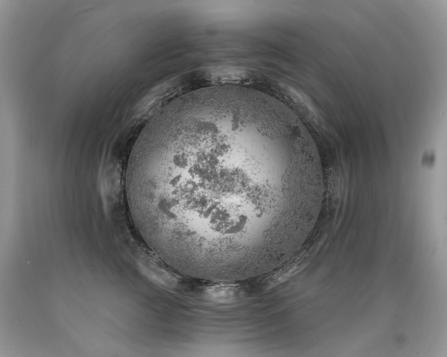 X0000090780761200707201523