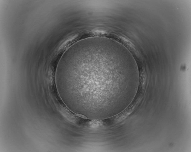 X0000090780762200707201523