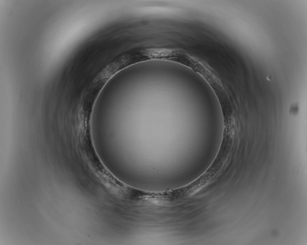 X0000090780763200707201523